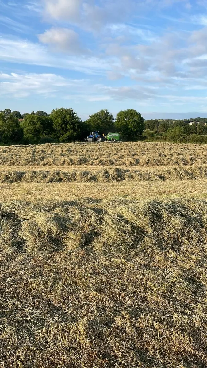 HAY & HALAGE - Image 3