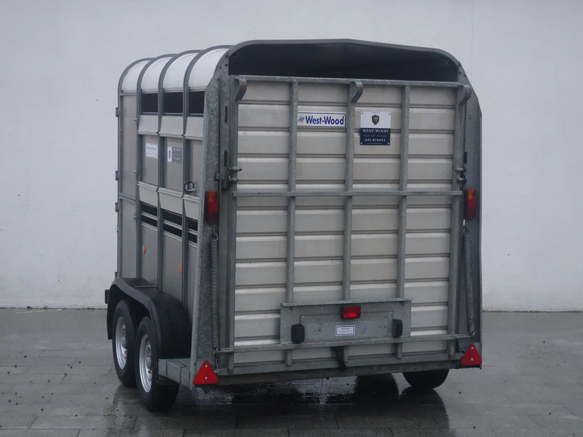 T09932 Used TA5 8' x 5' x 6' Ifor Williams - Image 2