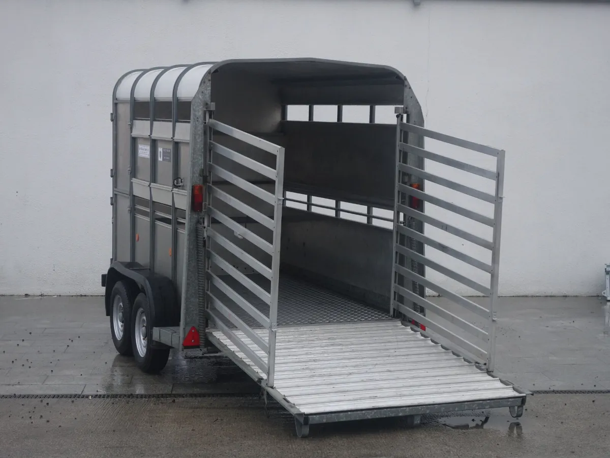 T09932 Used TA5 8' x 5' x 6' Ifor Williams - Image 3