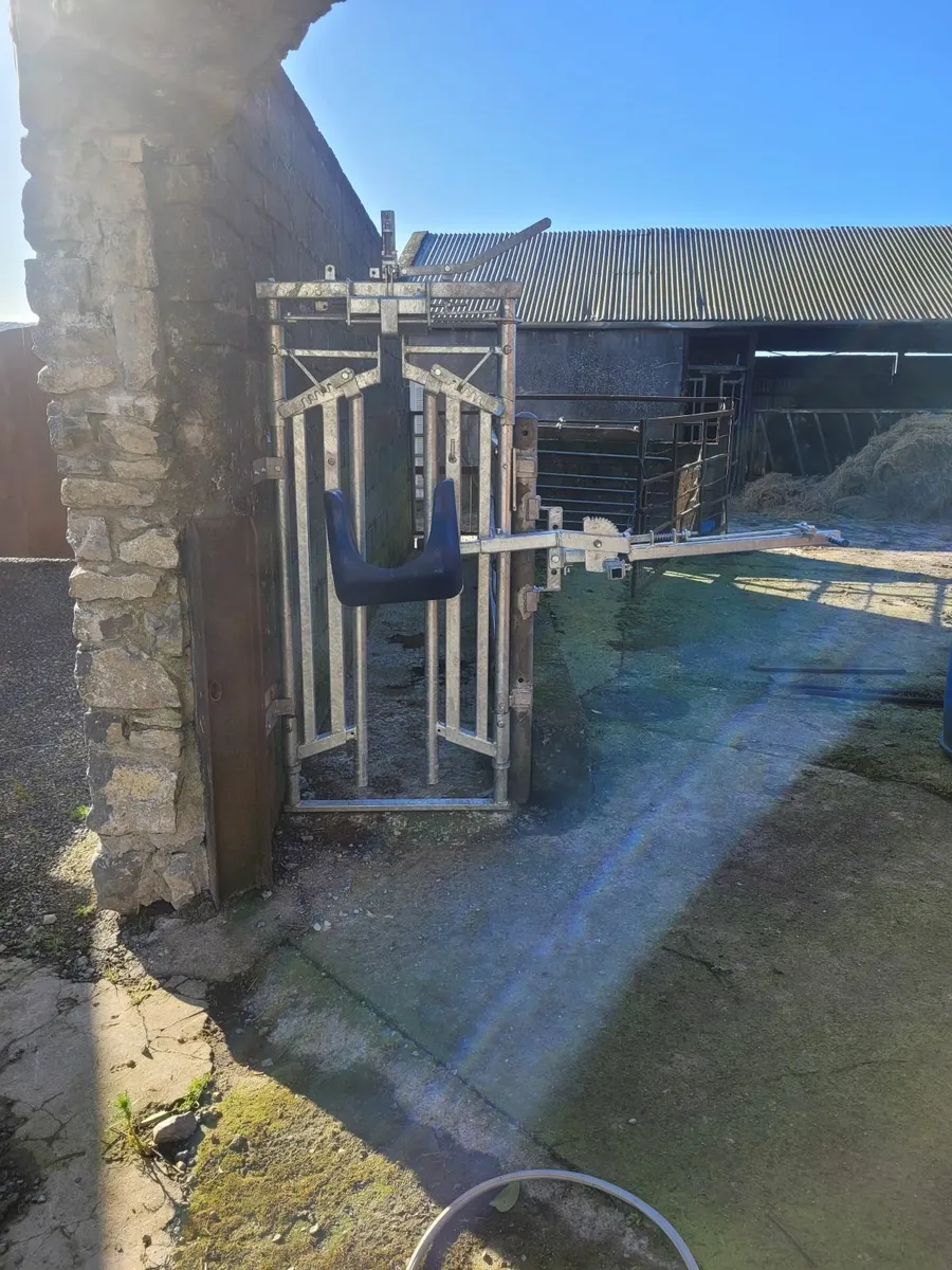 Cattle crush gate, head scoop, anti- backing bar - Image 1