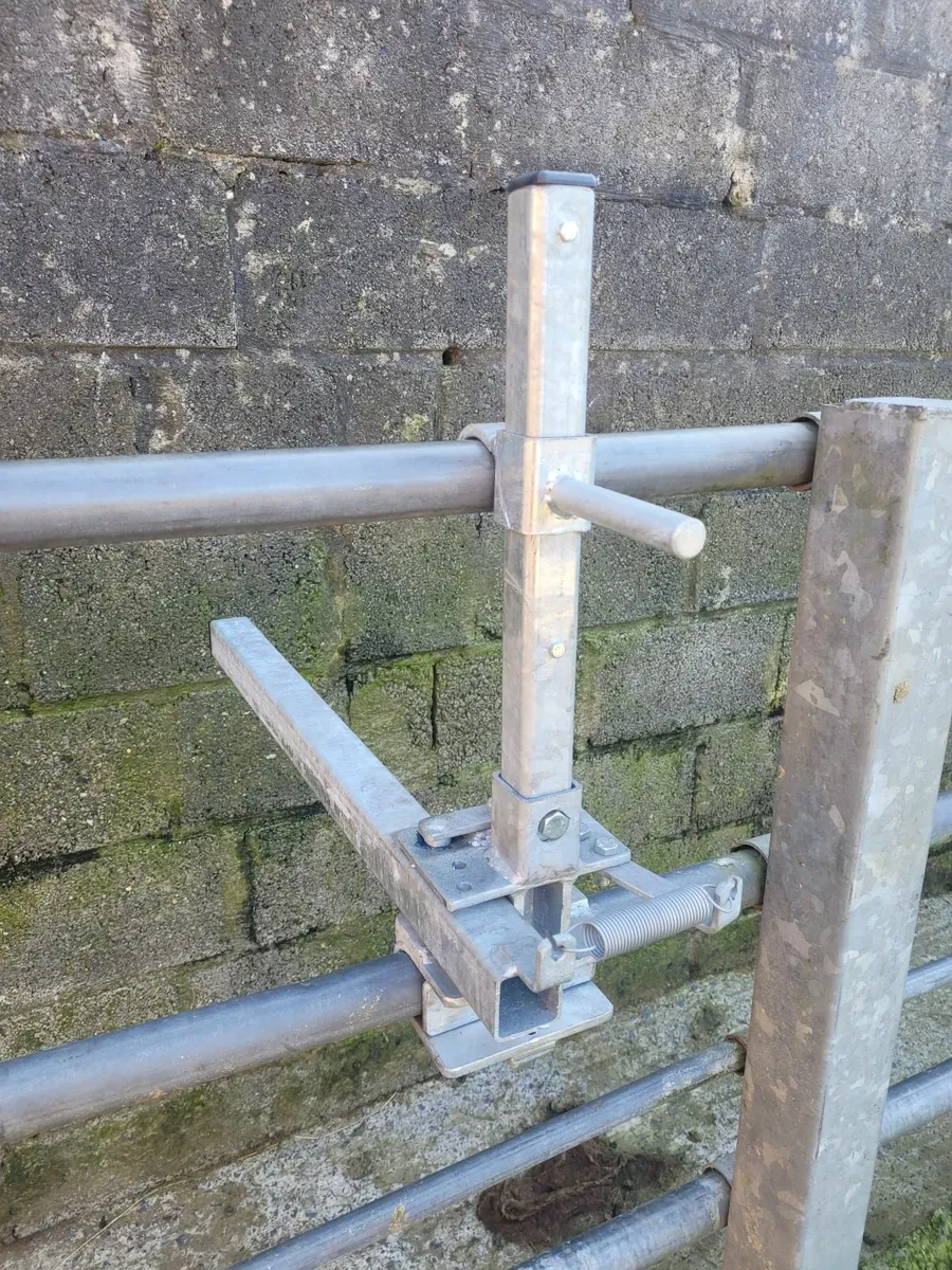 Cattle crush gate, head scoop, anti- backing bar - Image 3