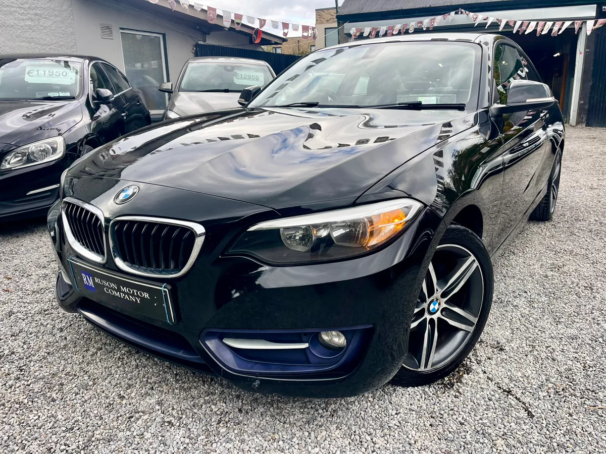 162 BMW 2 Series Sport (WARRANTY/NCT) - Image 1