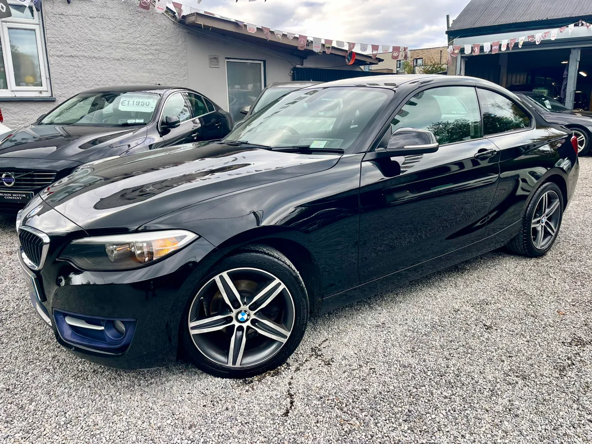 162 BMW 2 Series Sport (WARRANTY/NCT) - Image 2
