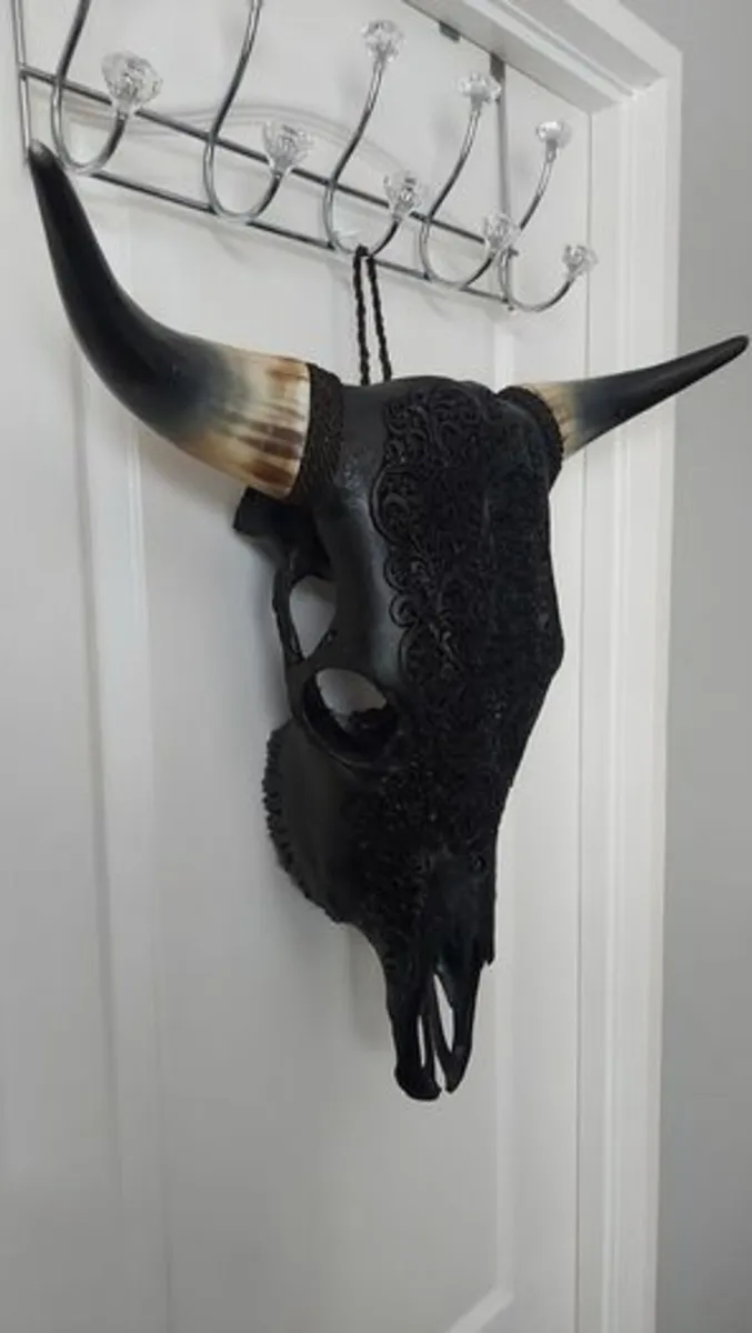 Carved Black Bull Skull - Image 2