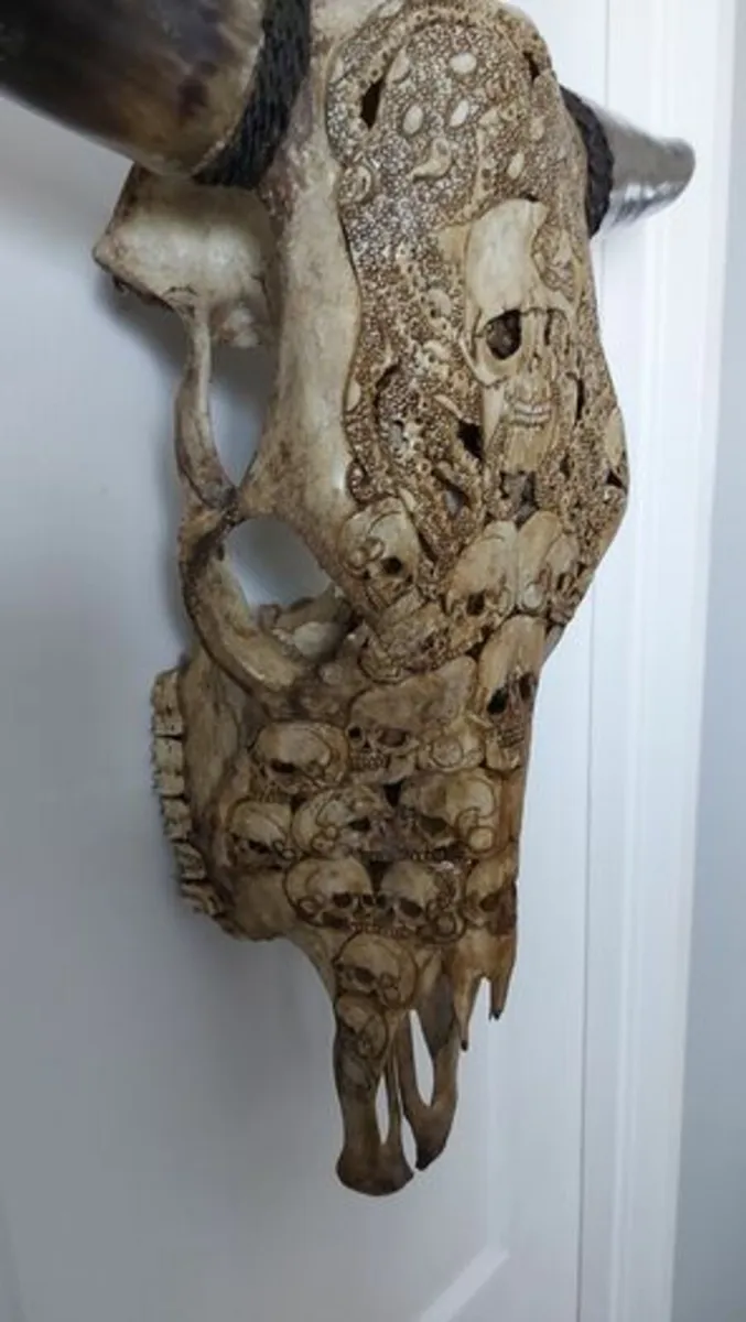 Carved Brown Bull Skull - Image 4