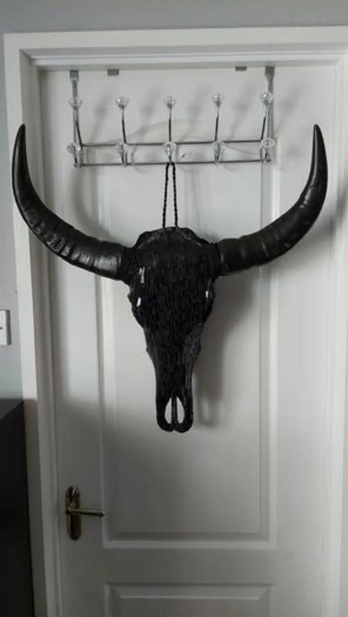 Glass Insert Black Buffalo Skull - Image 1