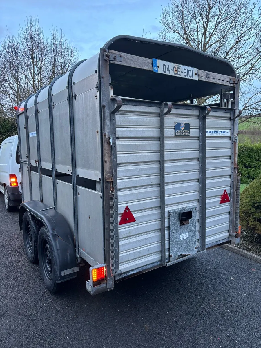 10x5 ifor Williams cattle box - Image 2