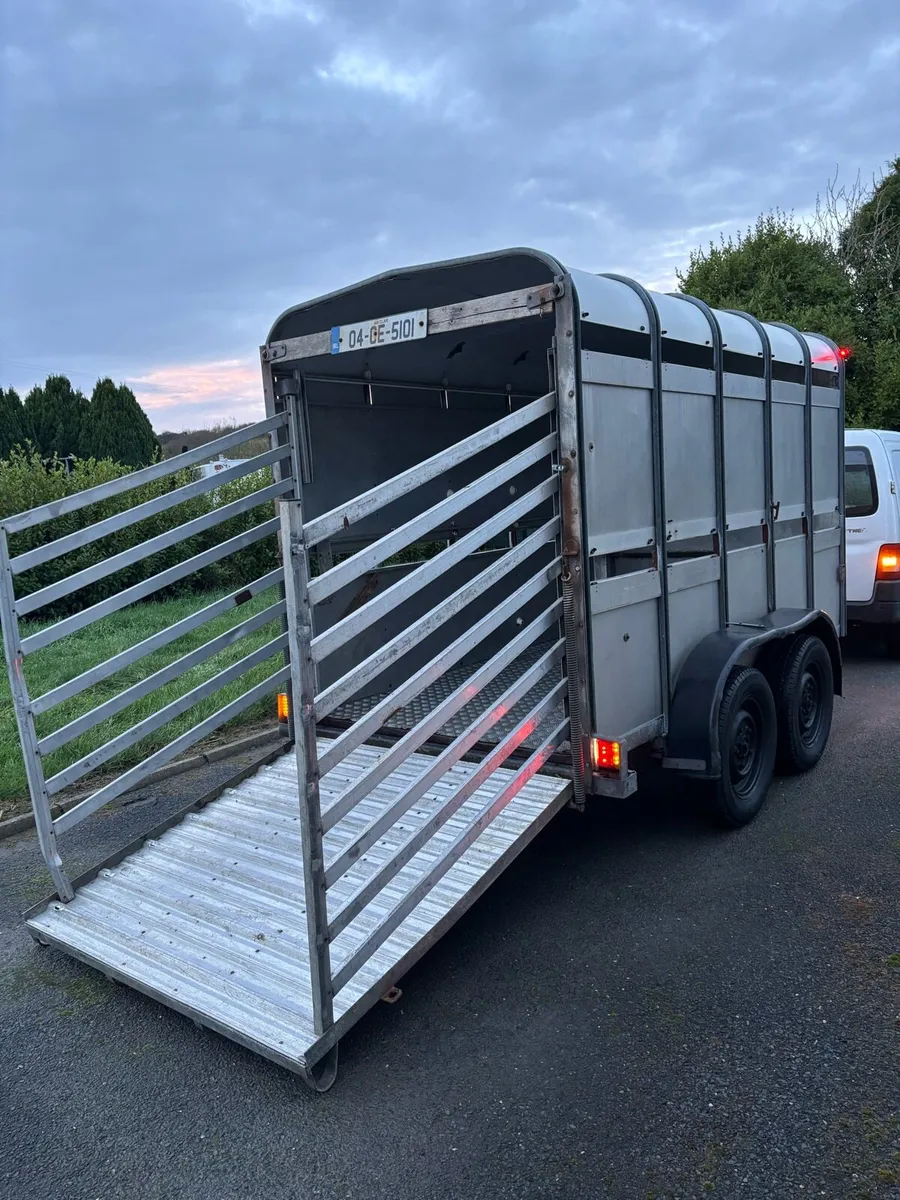 10x5 ifor Williams cattle box - Image 3