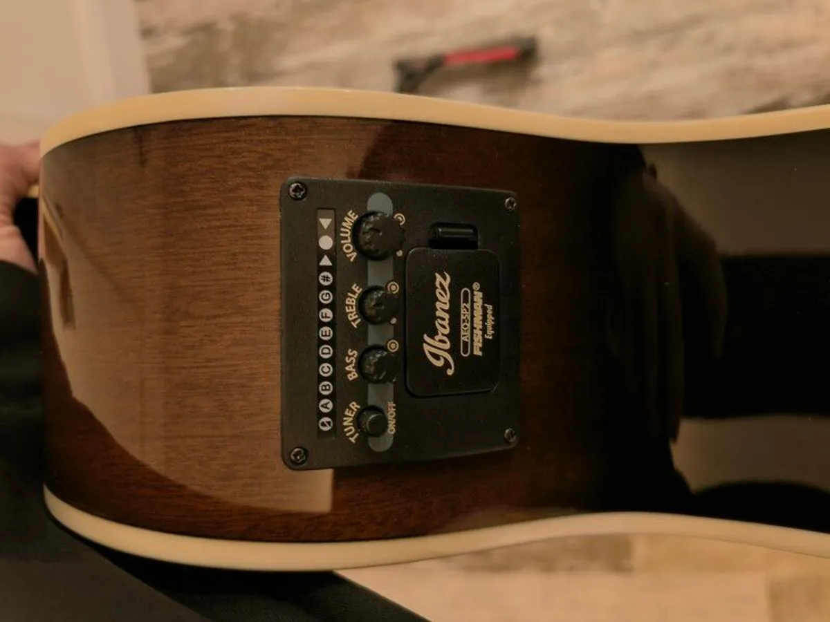 Ibanez 12 String Semi Acoustic - Image 2