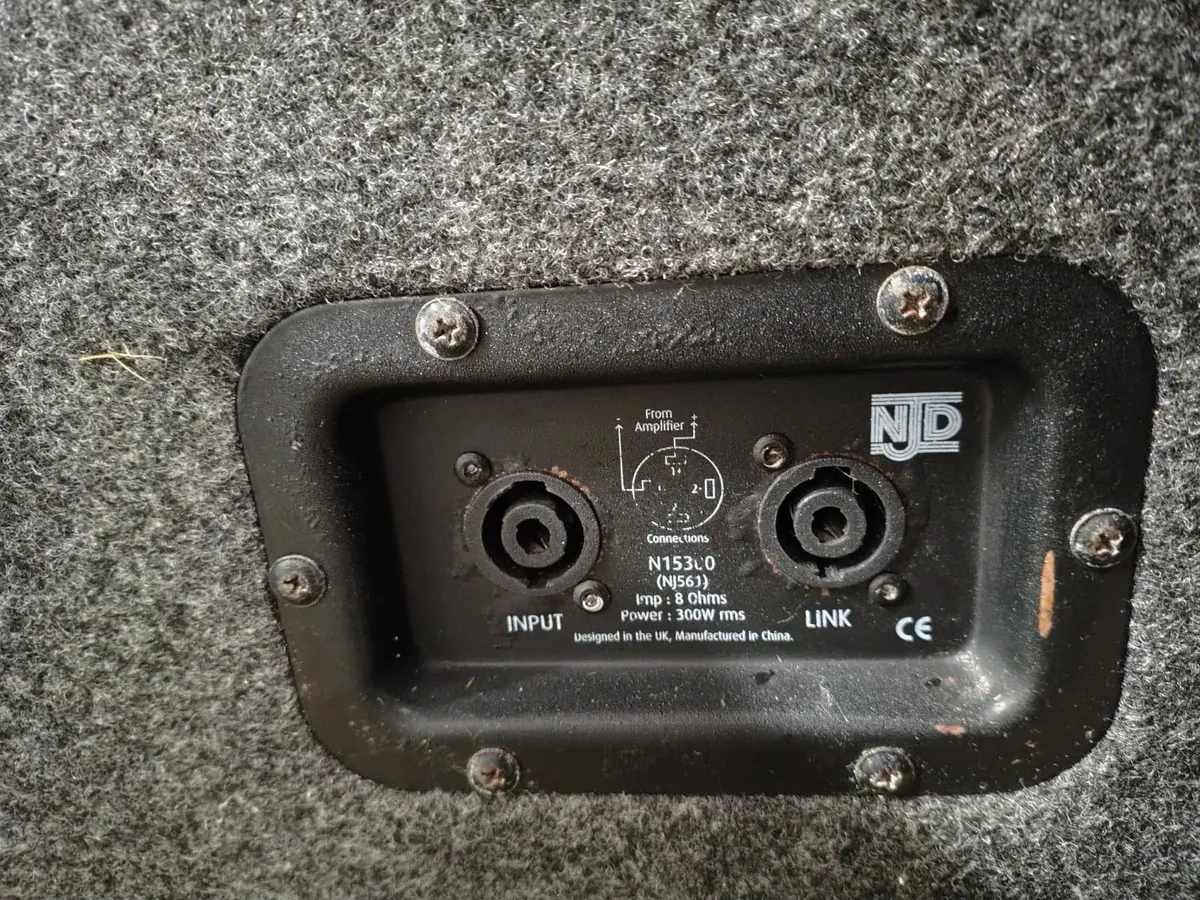 2 x 300W cabinet speakers - Image 2