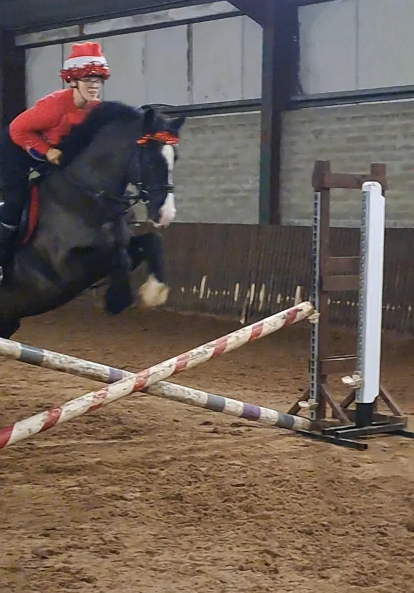 Fantastic pony 14.2 - Image 1