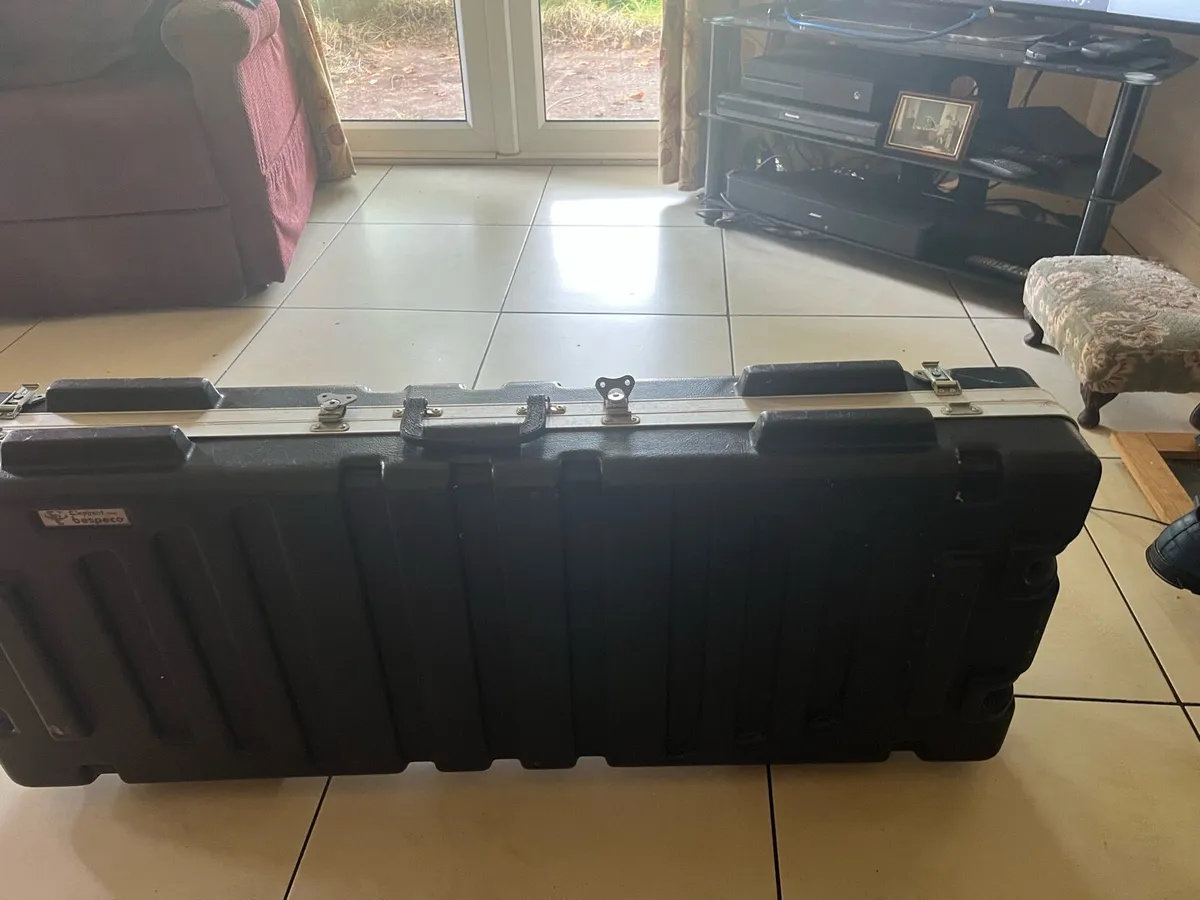 Abs piano case - Image 1