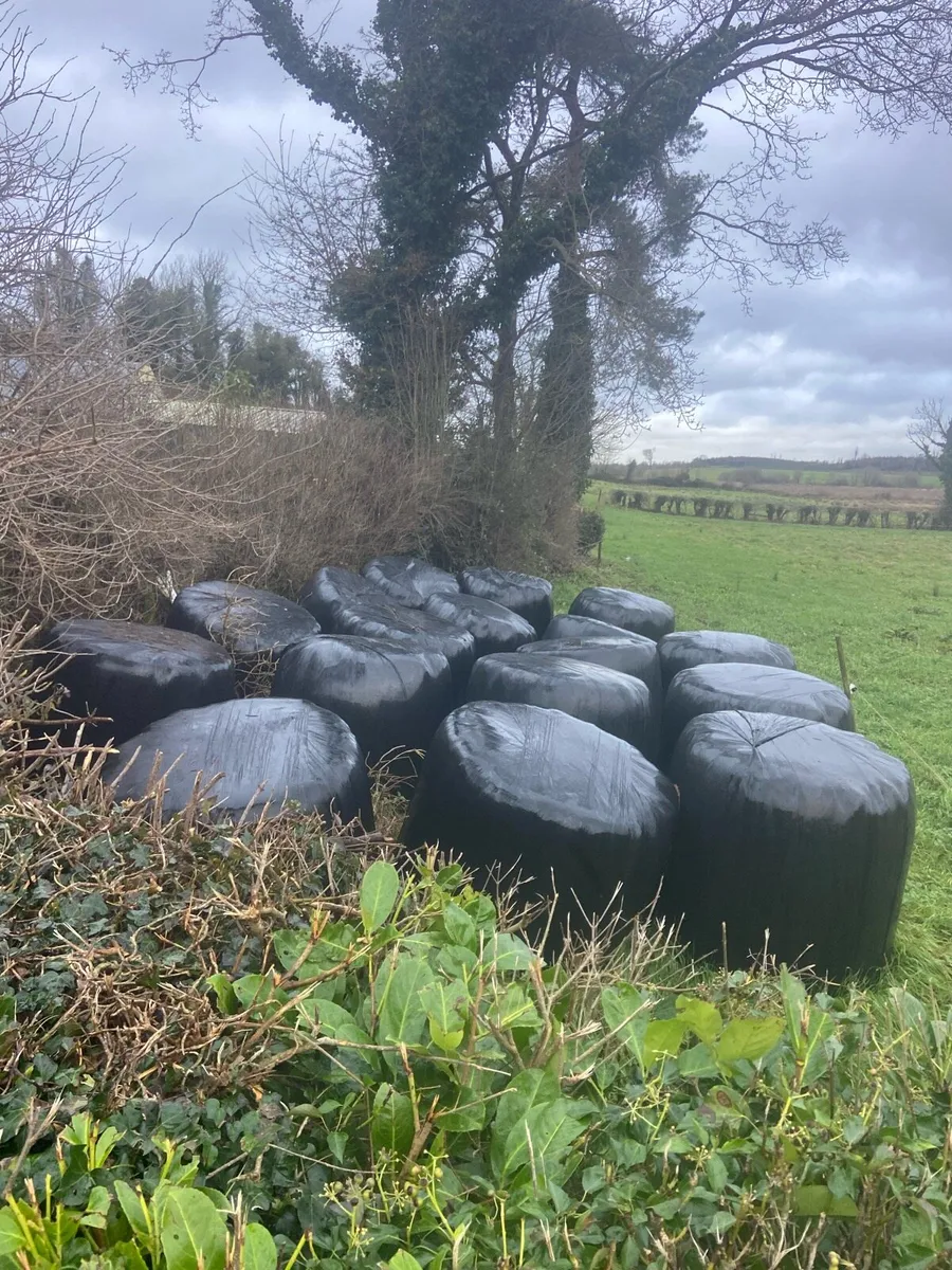 Round bales