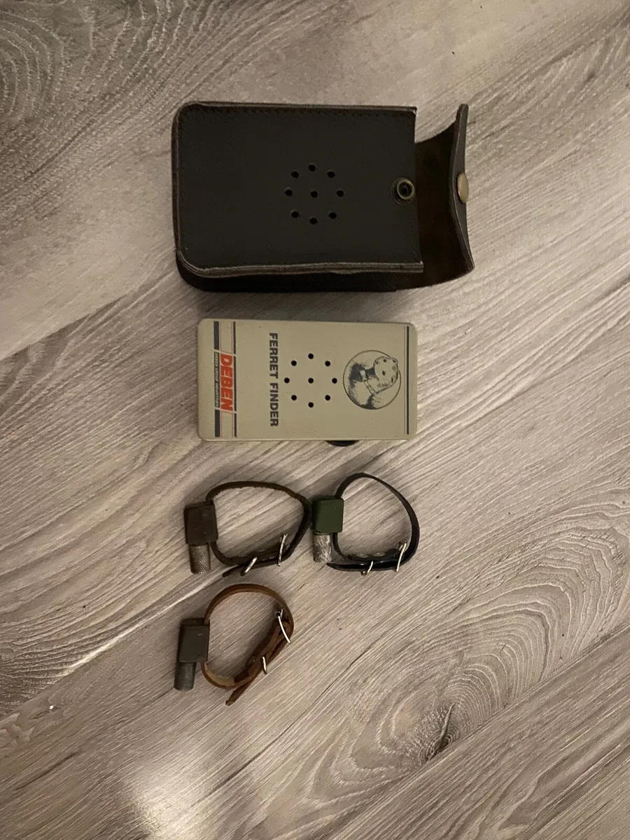 Ferret Finders - Image 2