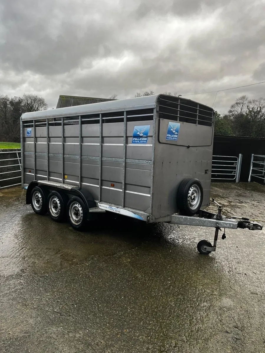 Falcon cattle trailer - Image 1