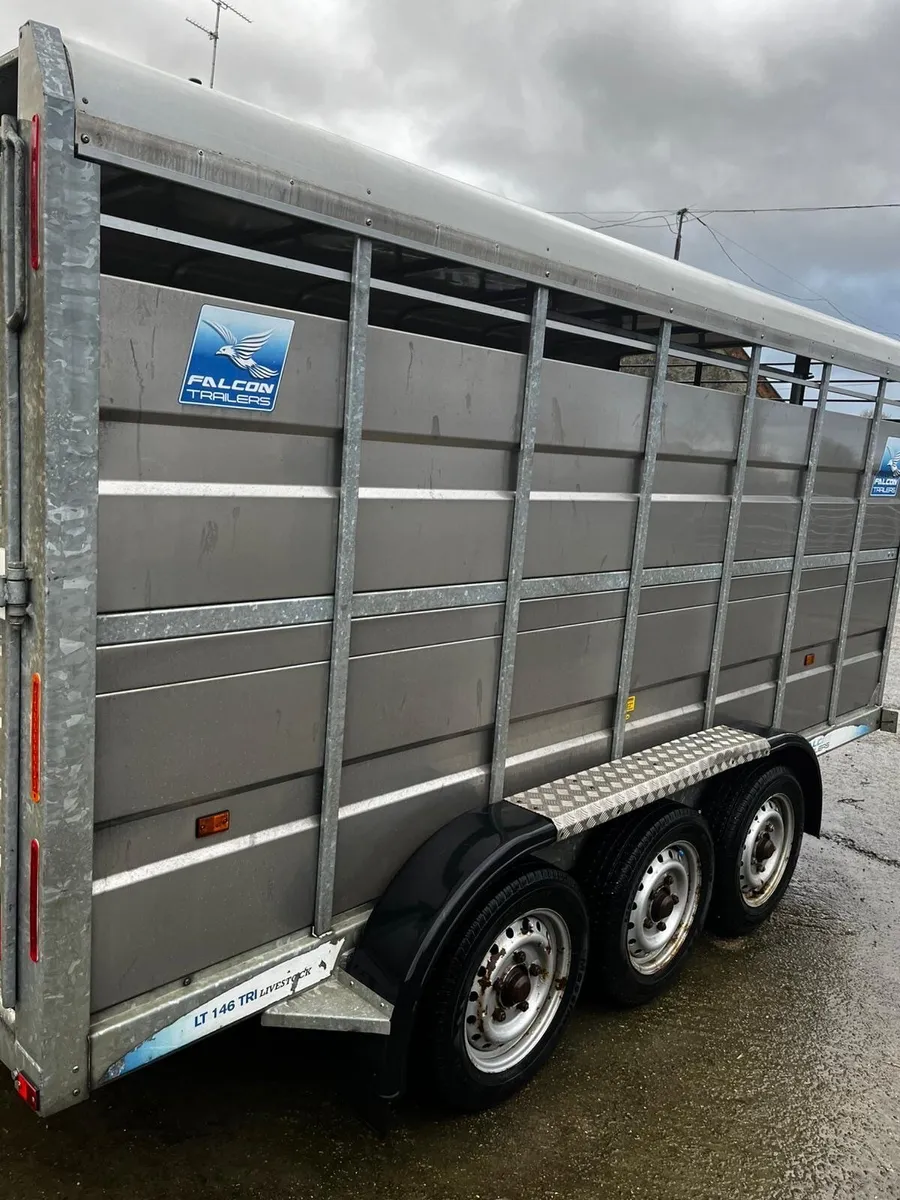 Falcon cattle trailer - Image 2