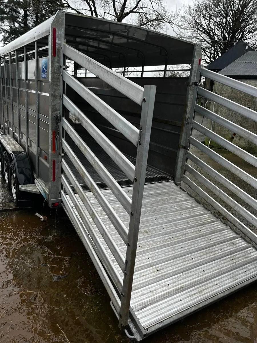 Falcon cattle trailer - Image 4