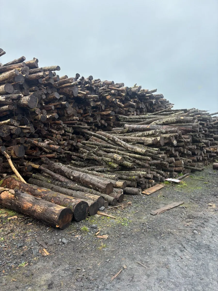 Kiln Dried Hardwood*whole sale* - Image 2