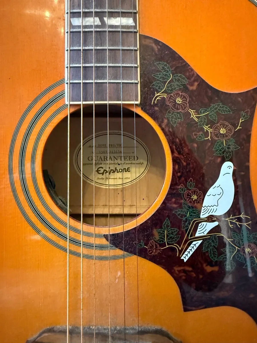 Epiphone Dove Pro - Image 2