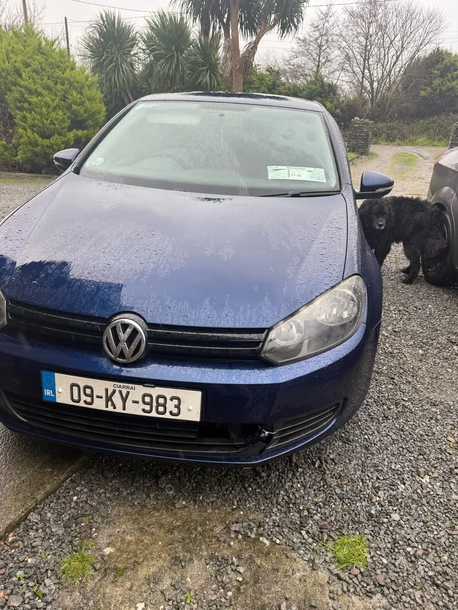 2.0L Golf - Image 1