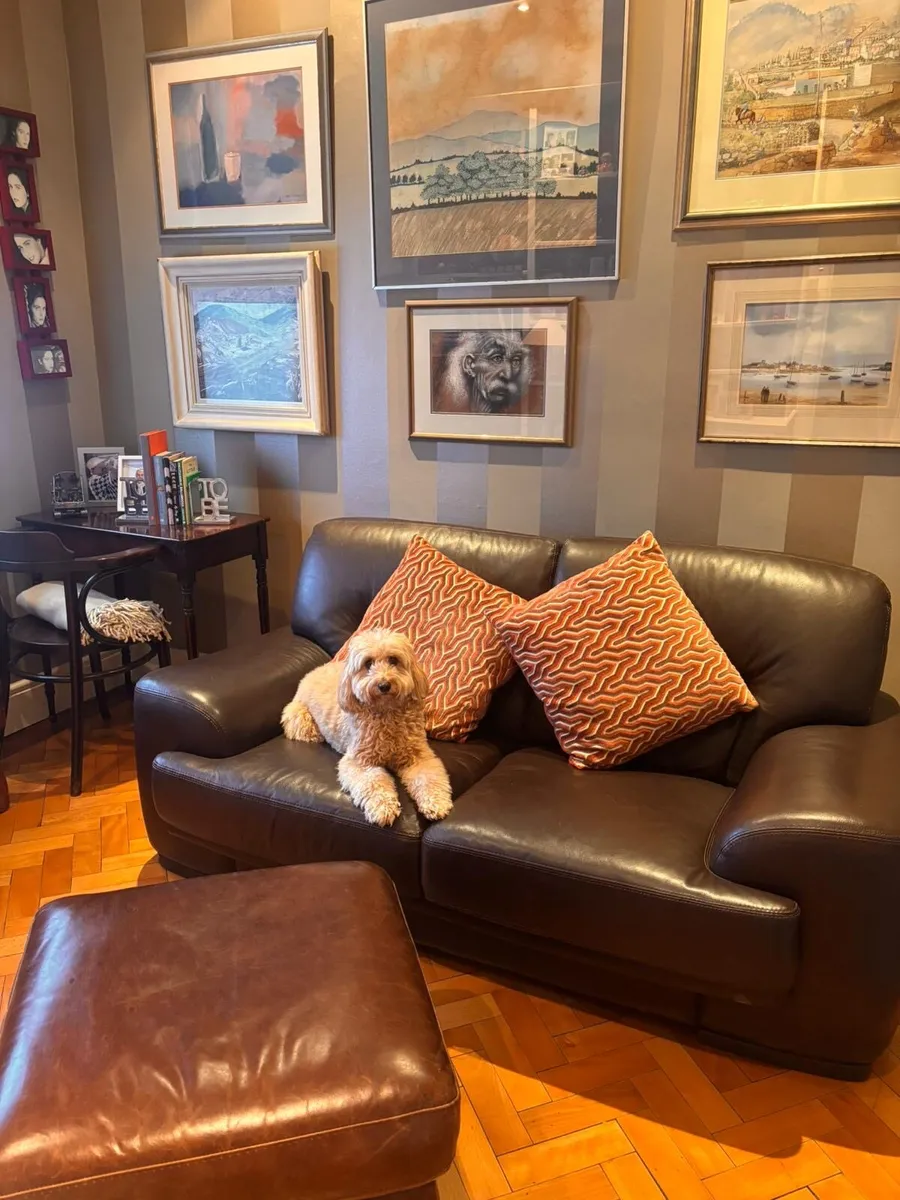 Sofa / Couch - Image 4