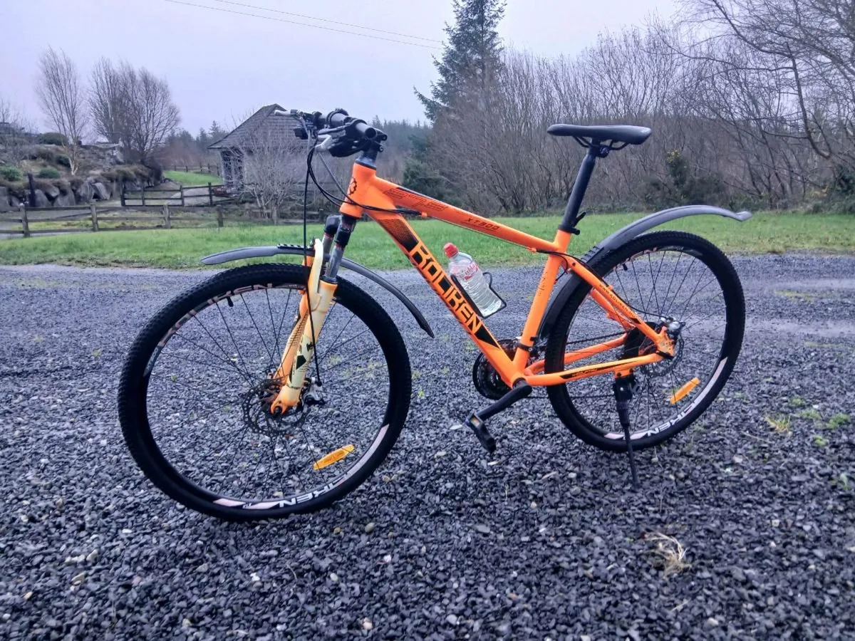 Mountain Bike - Image 1