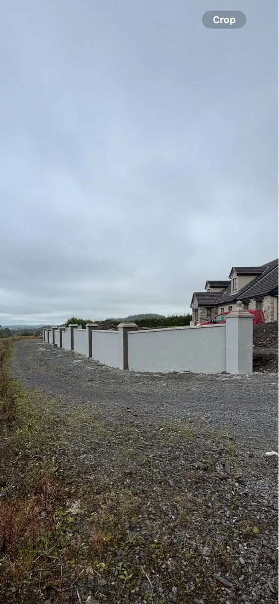 Plasterer available - Image 3