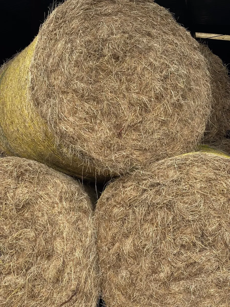Hay and silage for sale