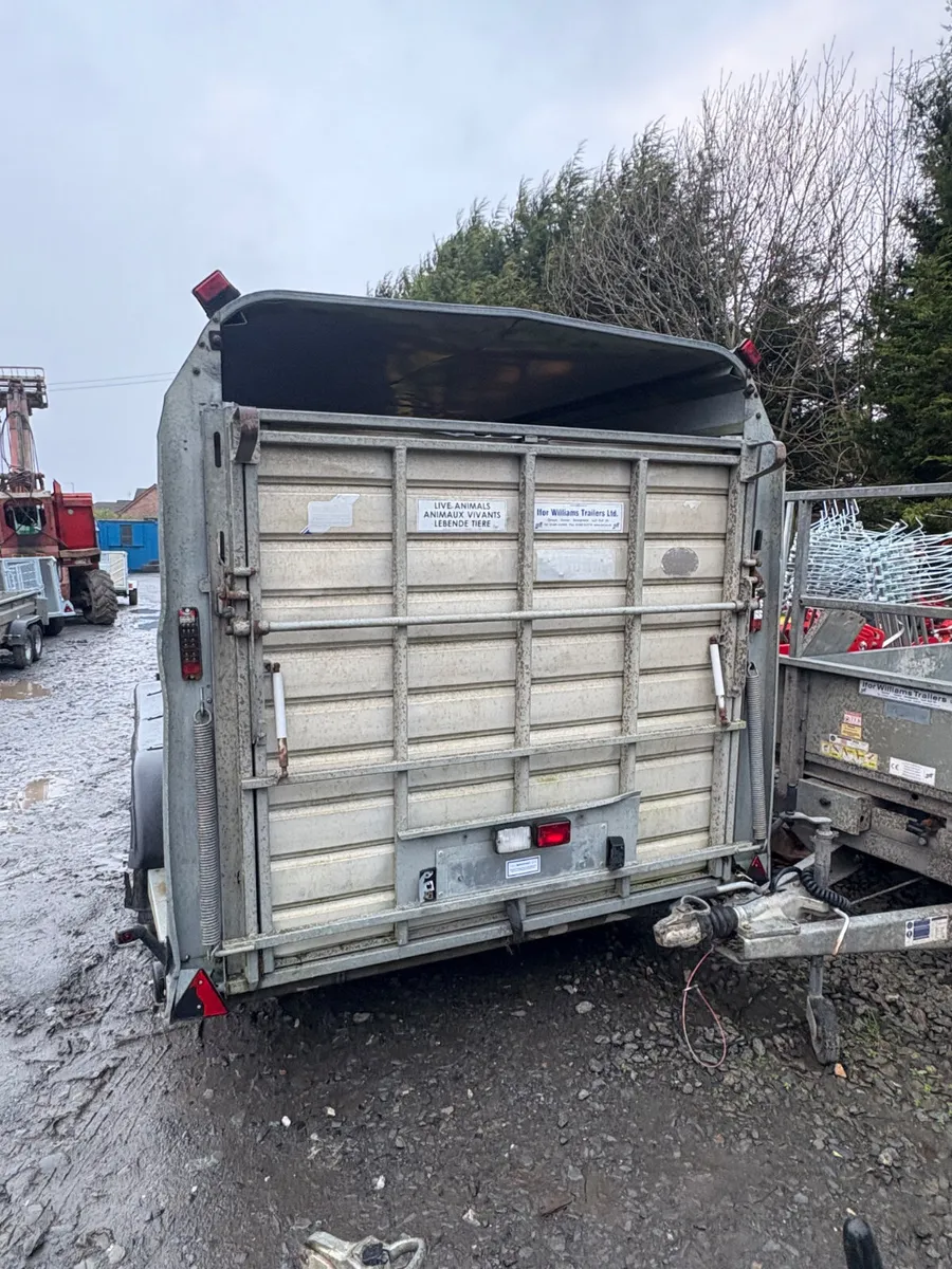 Ifor Williams 14ft cattle trailer - Image 2