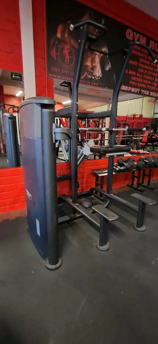 Assisted Pull-Up / Chin-Up / Dip Machine - Image 2