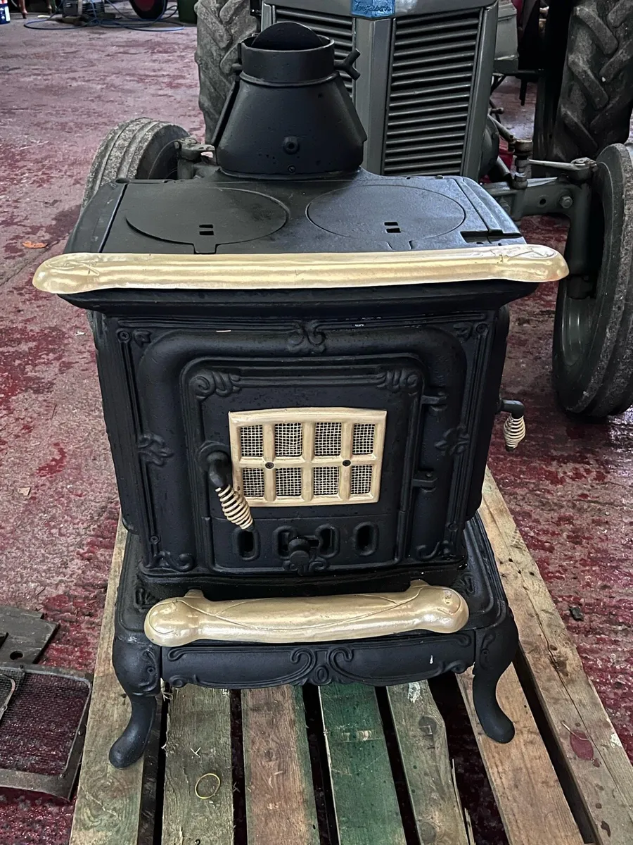 Antique Italiana solid fuel stove - Image 1