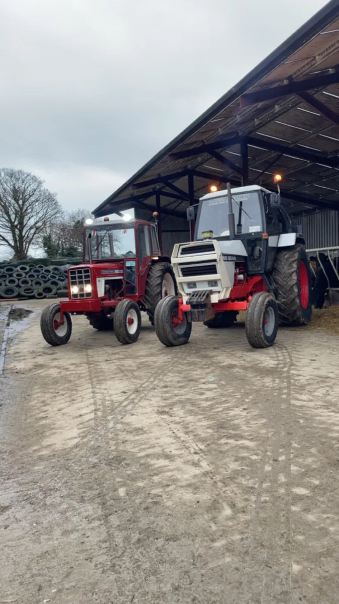 International 574 - Image 3