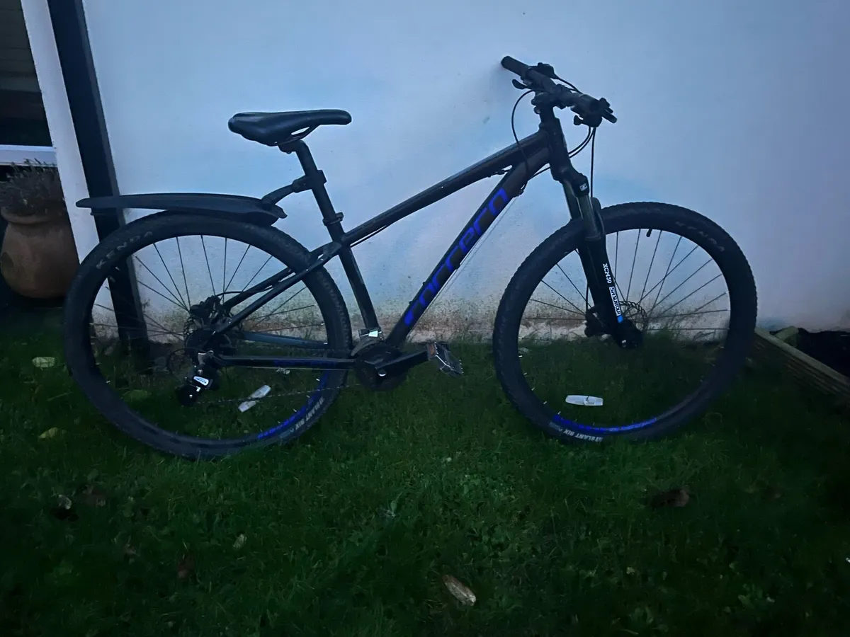 Carrera Hellcat 29” - Image 2