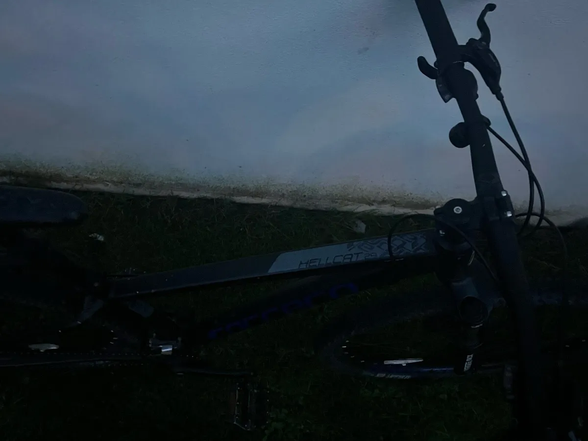 Carrera Hellcat 29” - Image 3