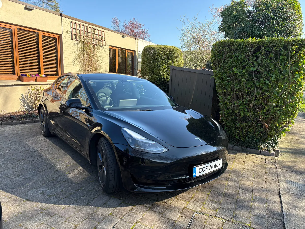 2021 Tesla Model 3 Standard Range Plus - Image 2