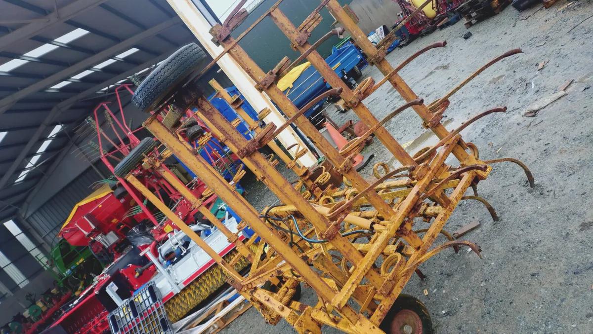 Tine Harrow - Image 2