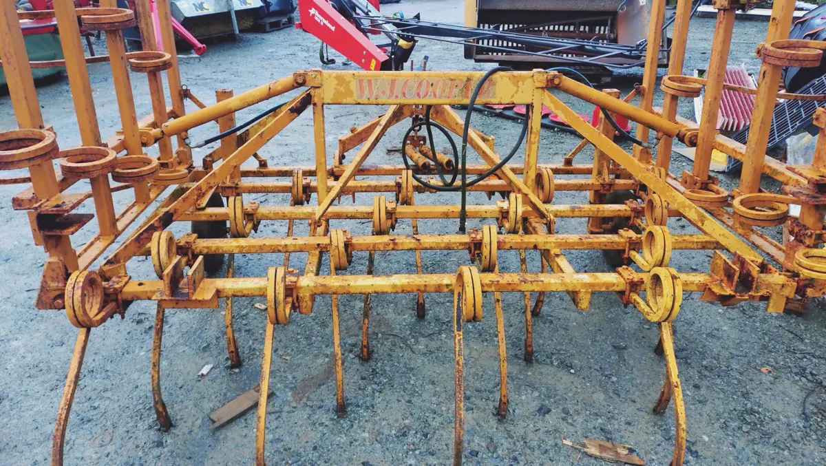 Tine Harrow - Image 3