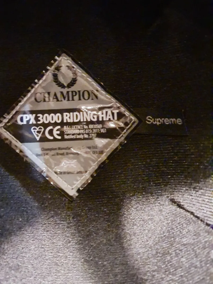 Ridding Show Helmet - Image 2