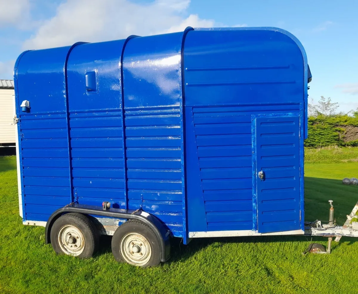 Coffee Horse Box - Image 2