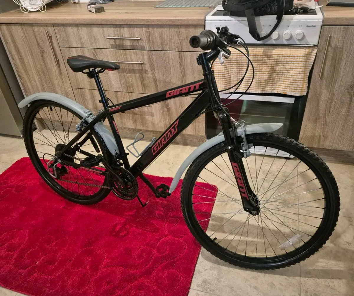 ADULTS GIANT BIKE 16"FRAME FANTASTIC CONDITION GEA - Image 1