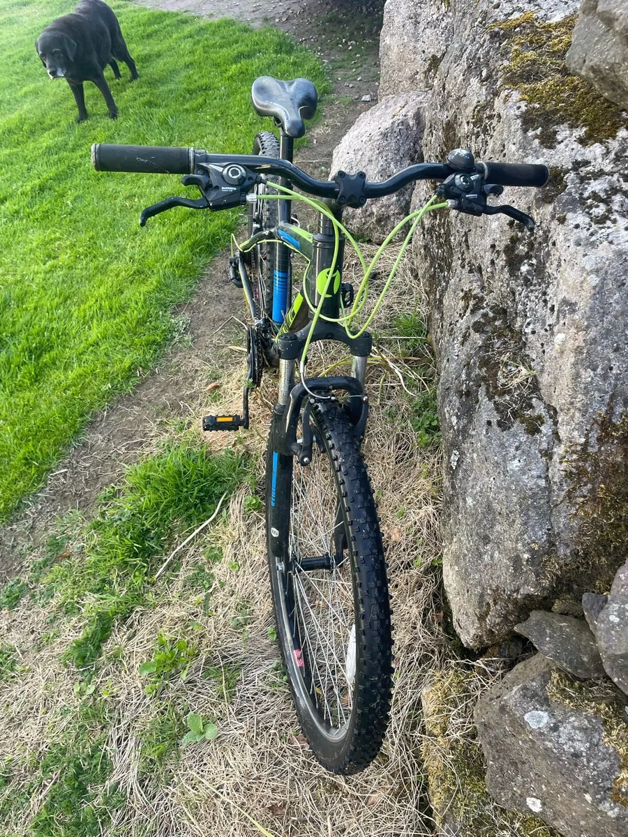 Child / teenager bike - Image 2