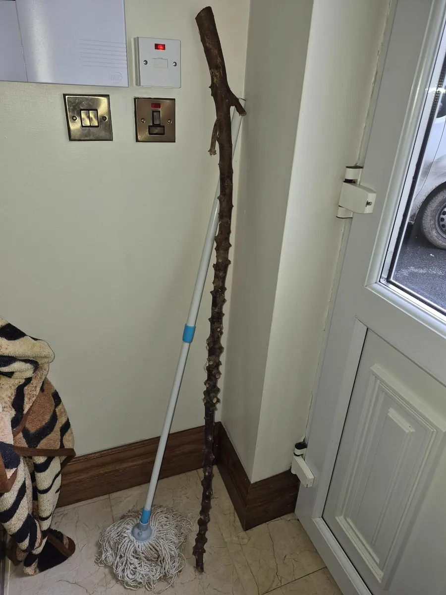 Wanted Seasoned Timber for walking sticks - Image 2