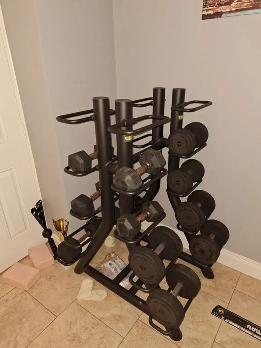 gym - Image 3