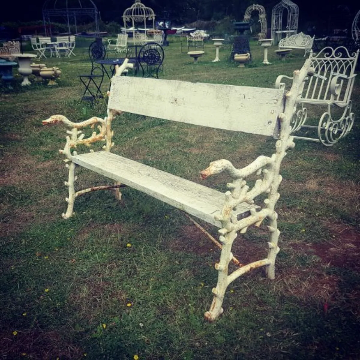 Bench Cast Iron and Timber Ornate Ends H23 - Image 3