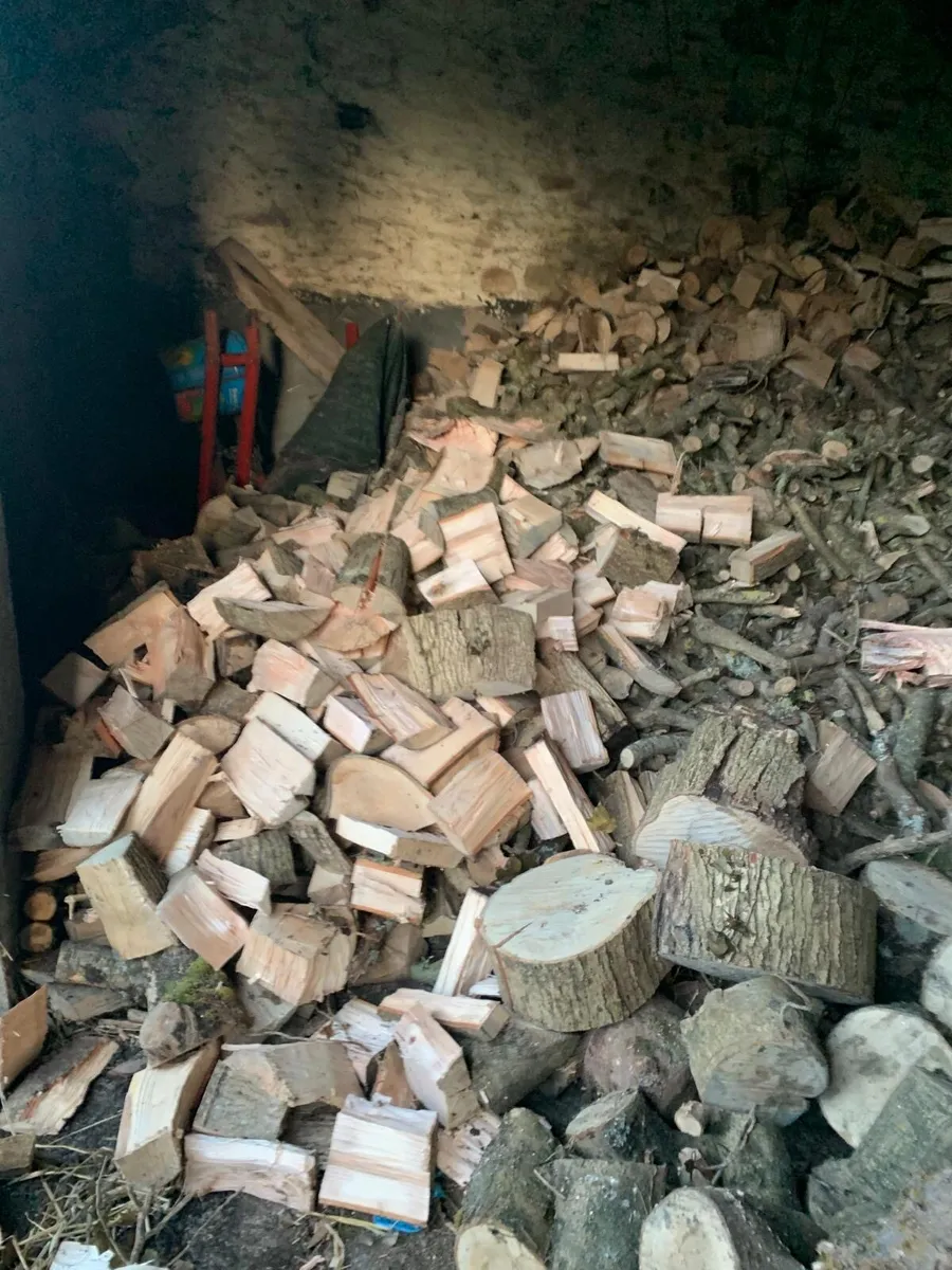 Log Splitter Hire - Image 2