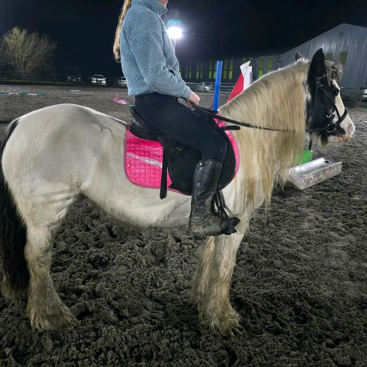 Cracking little cob - Image 1