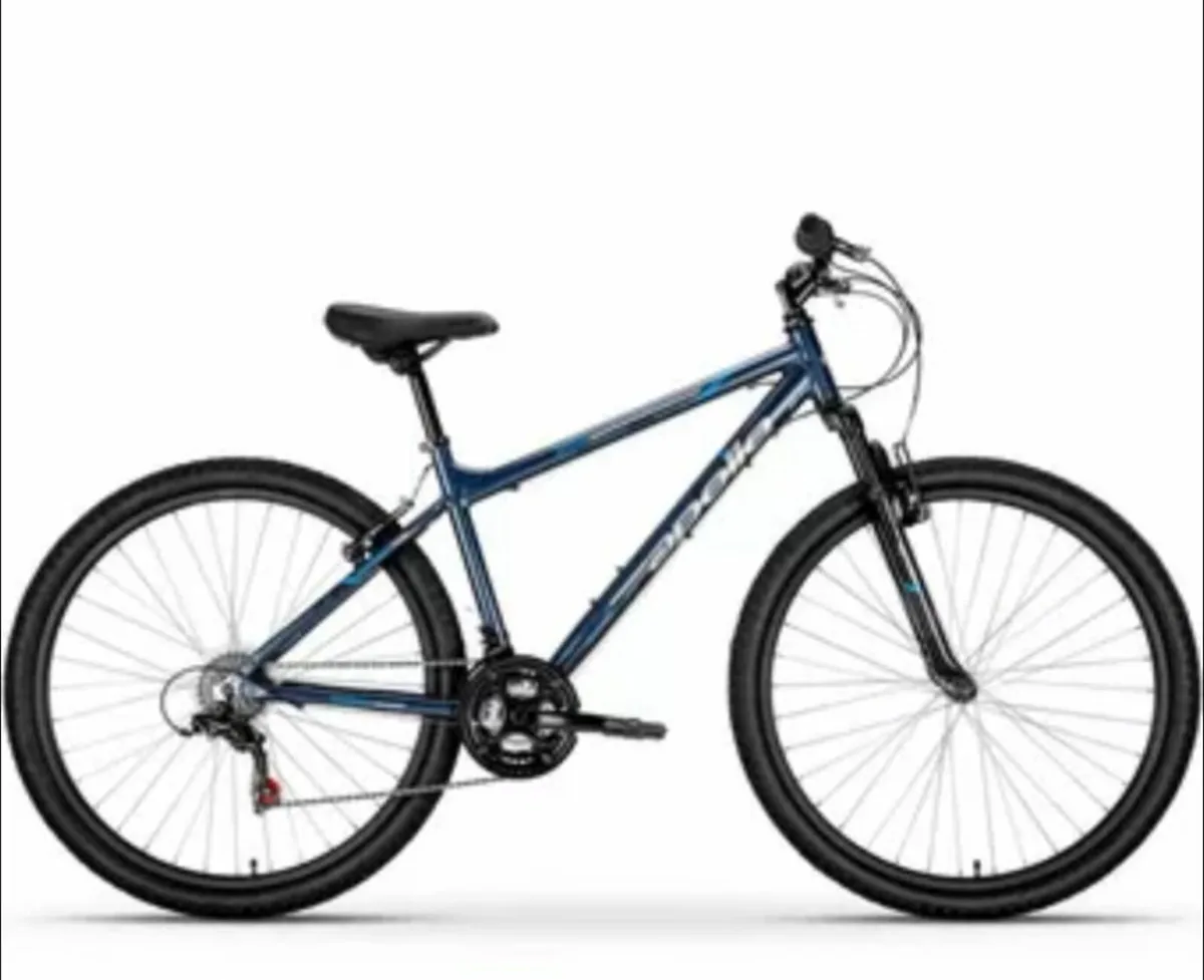 Ladies Bicycle - Image 2