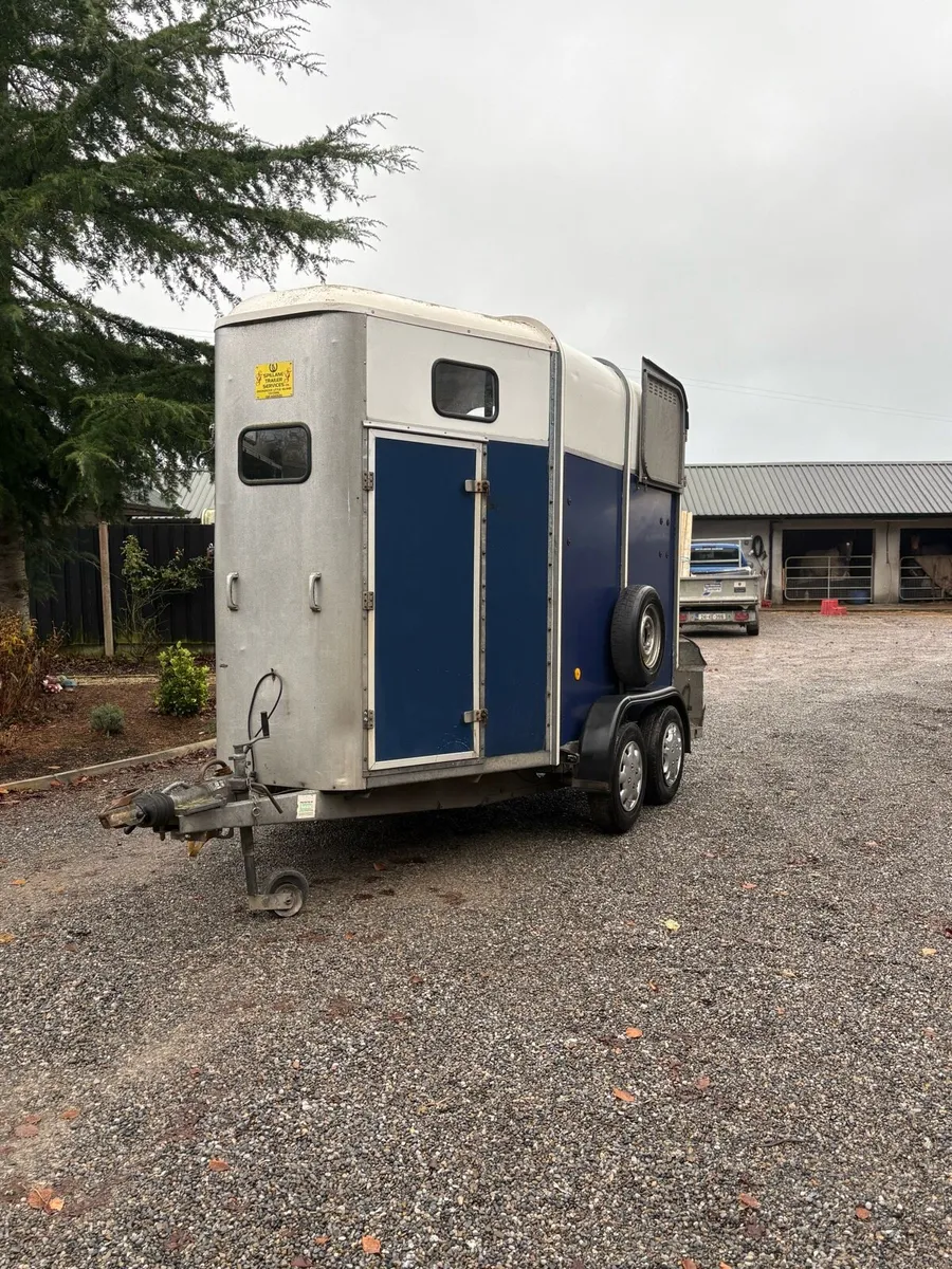 Immaculate 505 - Image 2