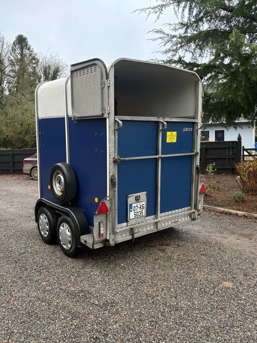 Immaculate 505 - Image 3