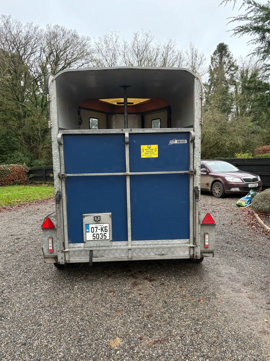 Immaculate 505 - Image 4